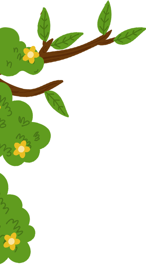 Tree-branches-left.png